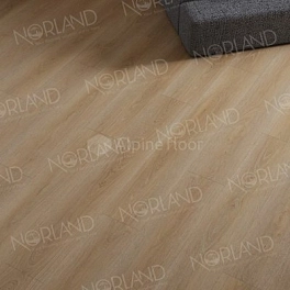 SPC ламинат Norland Sigrid Superior ABA 4V 43кл Alda 1008-9 ABA