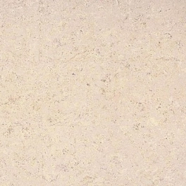Пробковый пол CORKSTYLE ECOCORK 915*305*10.5мм (1,953м2-7шт) замковая Madeira White